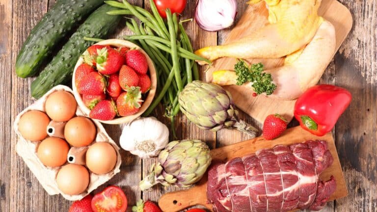 distribuidor de alimentos 3