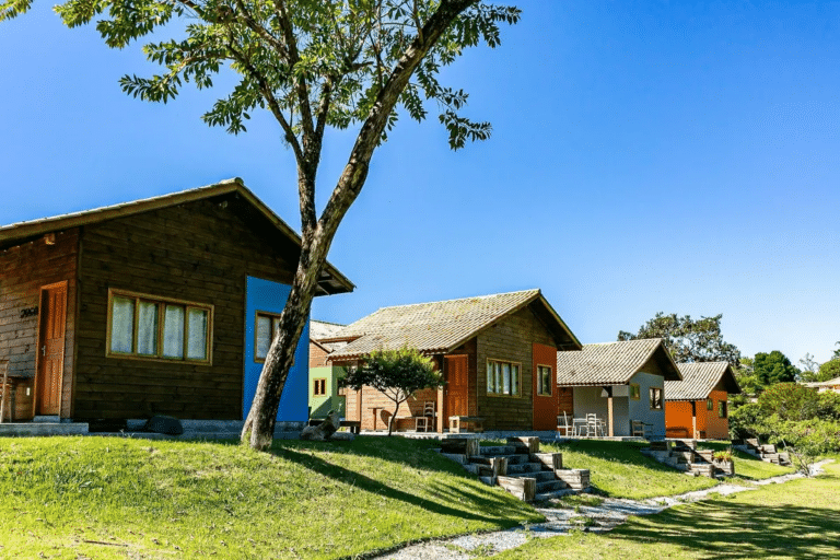 608adba529b0b33858f0591a 768x512