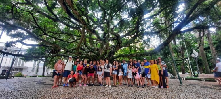 IMG 20240121 WA0008 1 1 768x346