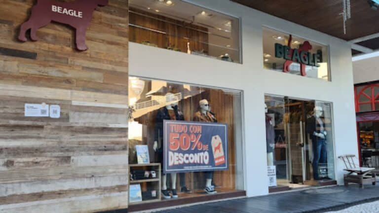 BEAGLE BANNER 768x432