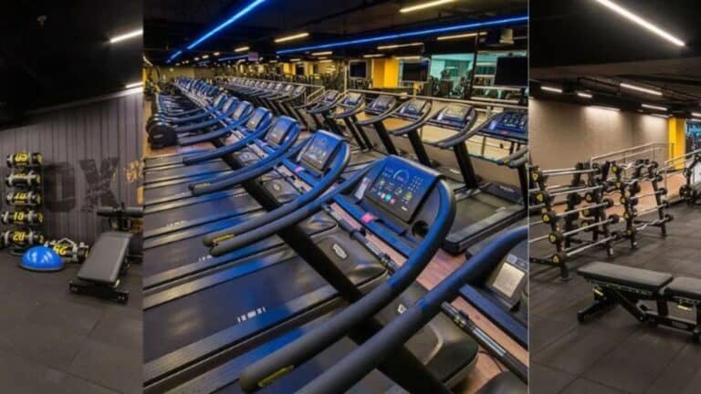 Smart fit agronomica1920 x 1080 px 768x432