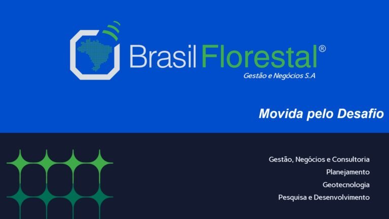 BF logo inicial 768x432