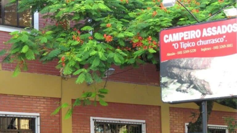 campeiro assados capa 768x432