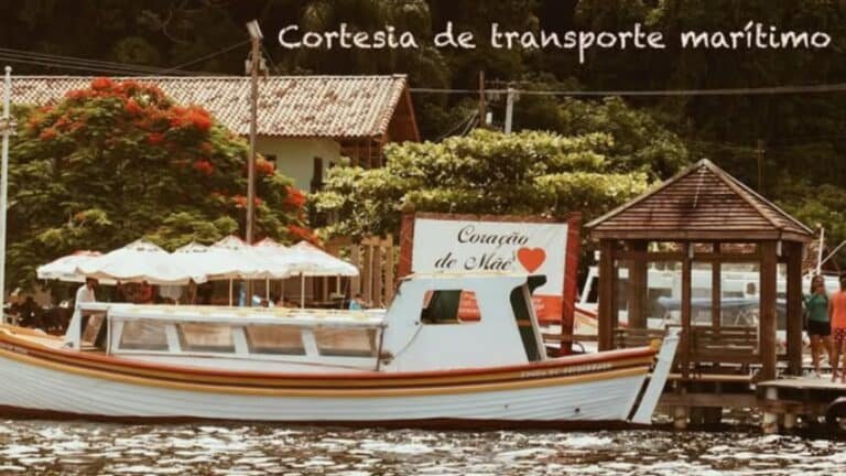 coracao de mae 1 768x432