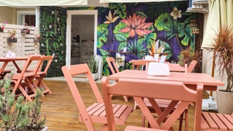 docaria da jo1 1 768x432