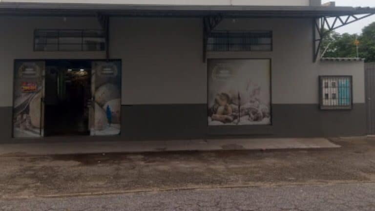 irmaos rosa capa 768x432