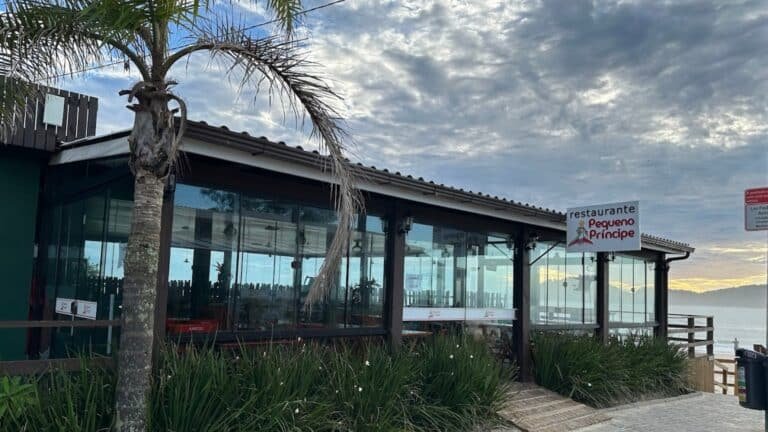 pequeno principe 1 768x432