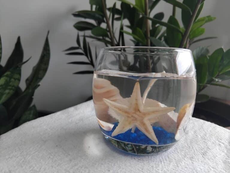 vela no copo aruba 2 768x576