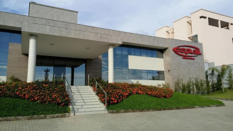 copal distribuidora 02 768x432