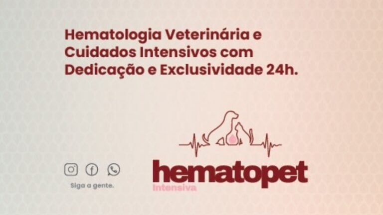 hematopet intensiva 001 768x432